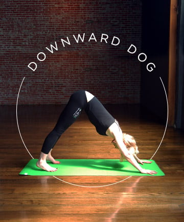 Yoga Pose No. 4: Downward Dog