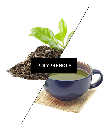 Polyphenols