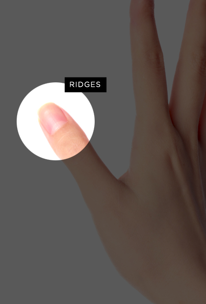 Ridges on your thumb