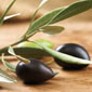 Seven Skin-Transforming Ingredients