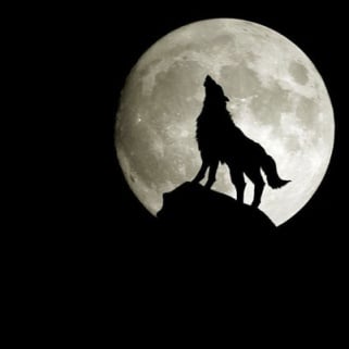 What Is The Werewolf Diet? (And Why Are Madonna and Demi On It?)