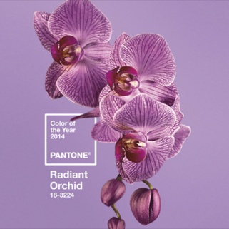 We'll Miss You, Emerald: Pantone Announces Their 2014 Color Of The Year
