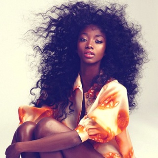 15 Best African American Hairstyle Trends