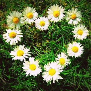 He Loves You: Marc Jacobs Has a Present for Daisy Fans