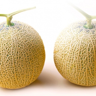 Someone Actually Paid $15,000 for These Melons