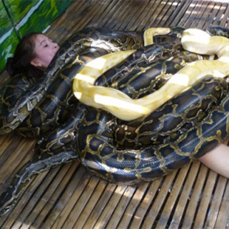 No Thanks: Snake Body Treatments Hit the Philippines