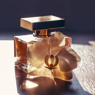 9 Ways to Give Yourself a Fresh(-Smelling) Start This Fall