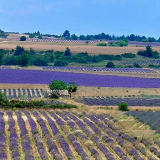 These New Body Products Are Like a Trip to the French Countryside