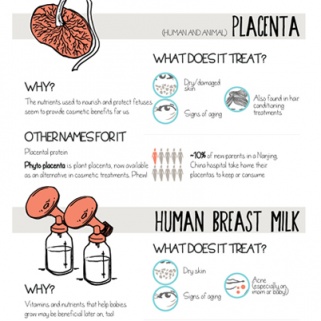The Grossest Ingredients Hiding in Your Skin Cream