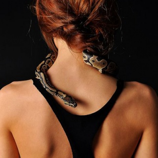 No Animals Harmed: 7 Most Bizarre Beauty Treatments