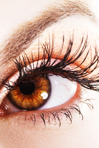 4 Ways to Get Perfect Lashes on Your Wedding Day