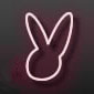 The Beauty Bunny