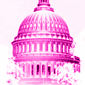 Capitol Hill Barbie