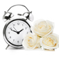 Wedding Day Beauty Countdown 
