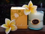 Ola Hawai'i Kukui Candle Coconut Lemongrass