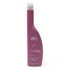 Graham Webb Back to Basics Vanilla Plum Fortifying Conditioner