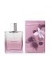 Bath & Body Works Signature Collection Eau de Toilette Black Raspberry Vanilla