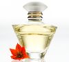 Mary Kay Journey Eau de Parfum