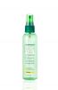 Garnier Fructis Style Brilliantine Shine Glossing Spray