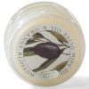 Caswell-Massey Olive Oil & Orange Blossom Lip Balm