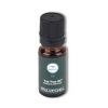 Paul Mitchell Tea Tree Oil