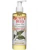 Burt's Bees Green Tea & Lemongrass Hand Soap