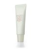 Shiseido The Skincare Essential Tinted Moisturizer SPF 15