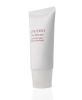 Shiseido The Skincare Purifying Mask