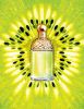 Guerlain Aqua Allegoria Tutti Kiwi