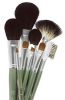 Arbonne About Face 10 Piece Precision Brush Set