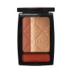 Dior Bronze Palette