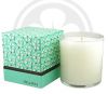 BURN FRESH Fresh Cucumber Melon Candle
