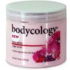 Bodycology Sugar Scrub