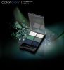 Wet n Wild ColorIcon Eyeshadow Palette