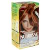 15. Garnier Nutrisse Nourishing Multi-Lights, $7.79