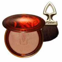 Guerlain Terracotta Blush & Sun: Bronzer