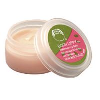 The Body Shop Watermelon Born Lippy Balm