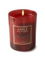 Slatkin & Co. The Perfect Autumn  Scented Candle Apple