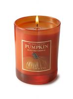 Slatkin & Co The Perfect Autumn Scented Candle