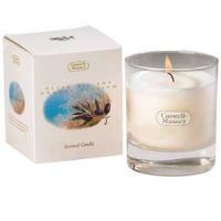 Caswell-Massey Olive Oil & Orange Blossom Scented Candle