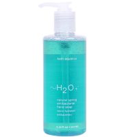 H2O+ Natural Spring Antibacterial Hand Cleanser
