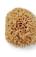 Crabtree & Evelyn Bath-Size Natural Sea Sponge