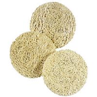The Body Shop Smooth and Renew Loofah Pads