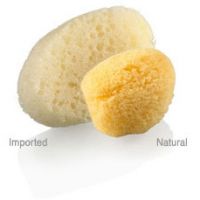 Max Factor Application Sponges