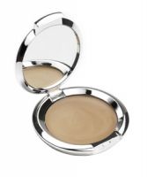 Therapy Systems Perfect Concealer