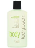 Ted Gibson Prosperity Body Shampoo