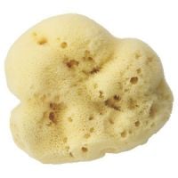 Caswell-Massey Silk Sea Sponge