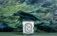 Diptyque Scented Candle Herbal Collection