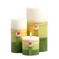 Chesapeake Bay Candle Company Chesepeake Bay Candle Company Green Collection Pillar Candles