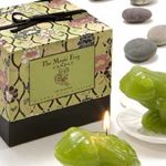 Gianna Rose Atelier Magic Frog Candle on Lily Pad Dish